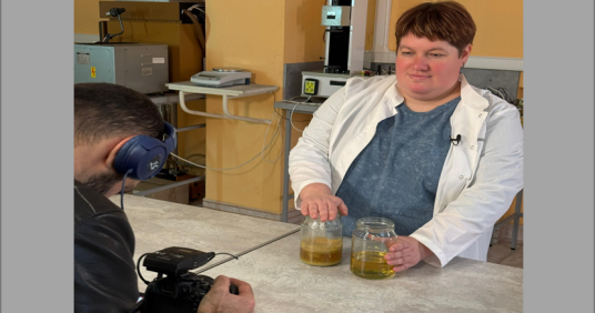 Видеоинтервью для телевидения